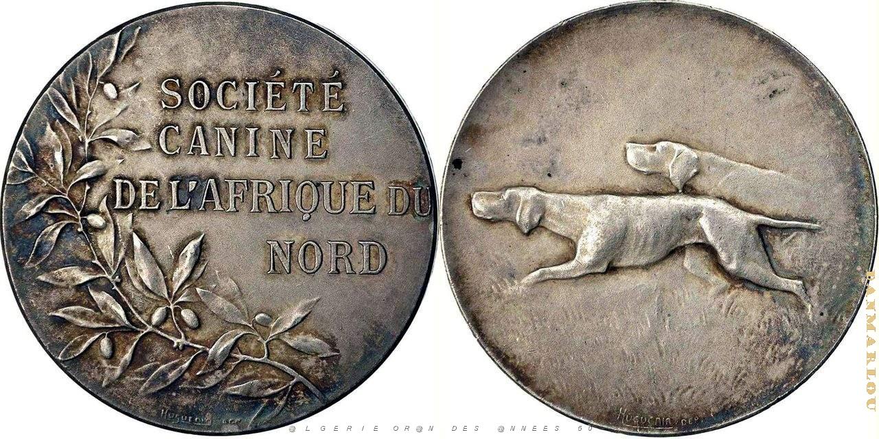 MEDAILLES D AFN - 293.jpg